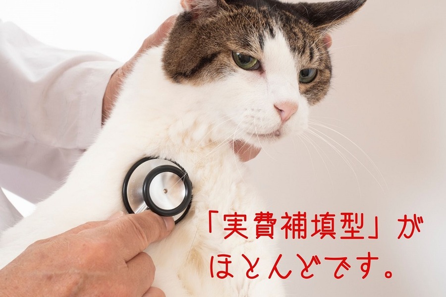 実質保障型がほとんど