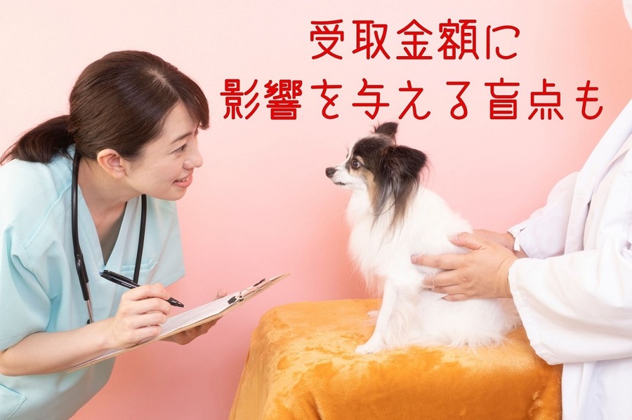 受取金額に 影響を与える盲点も