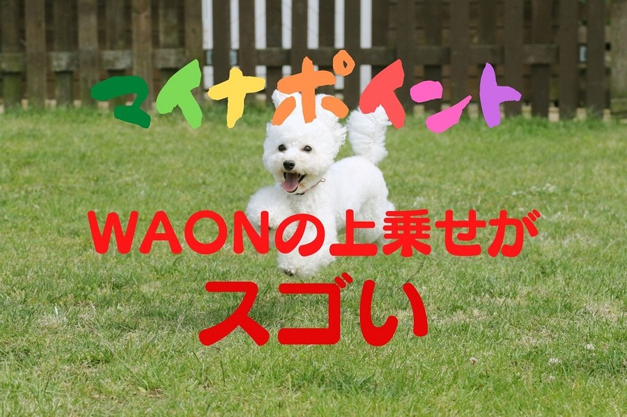 マイナポイントはWAONの上乗せがお得