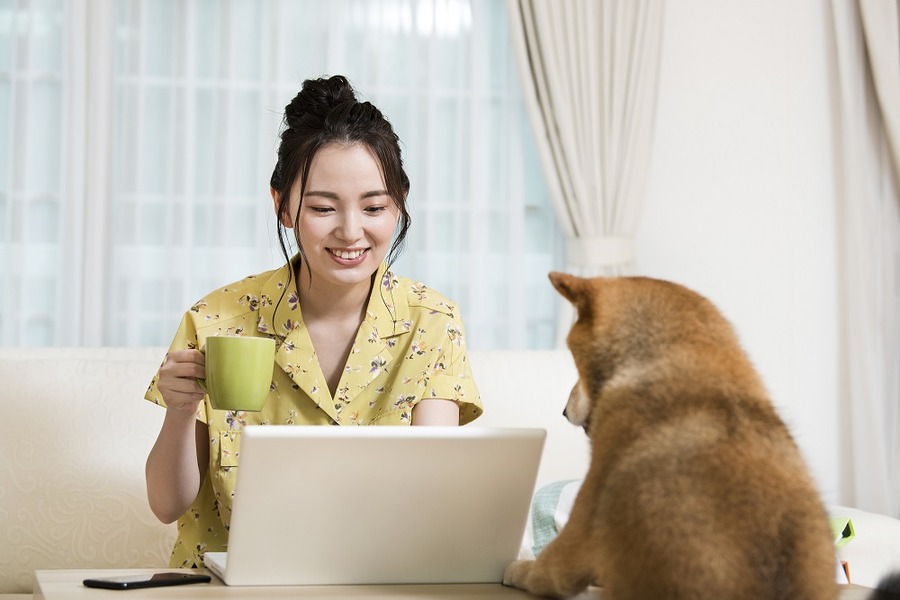 無料キャンペーンに飛びつく