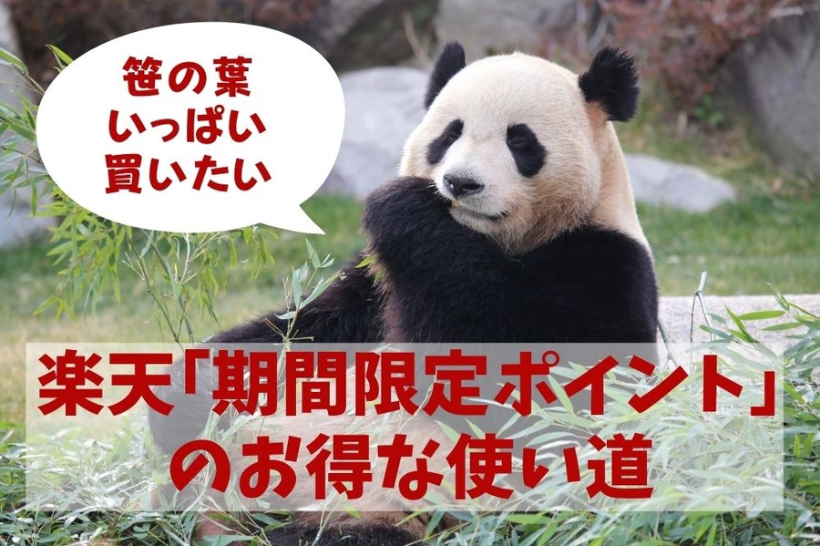 楽天「期間限定ポイント」のお得な使い道