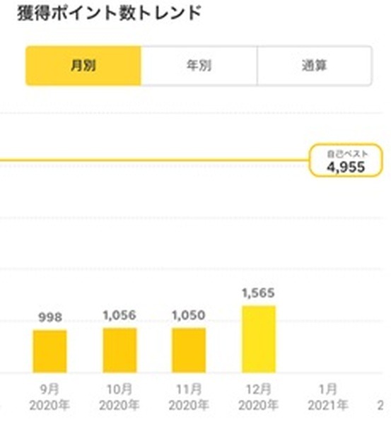 楽天ポイント実績