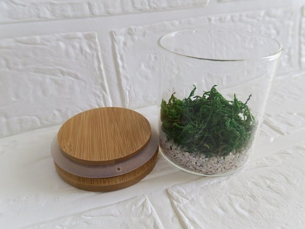 乾燥苔を入れる