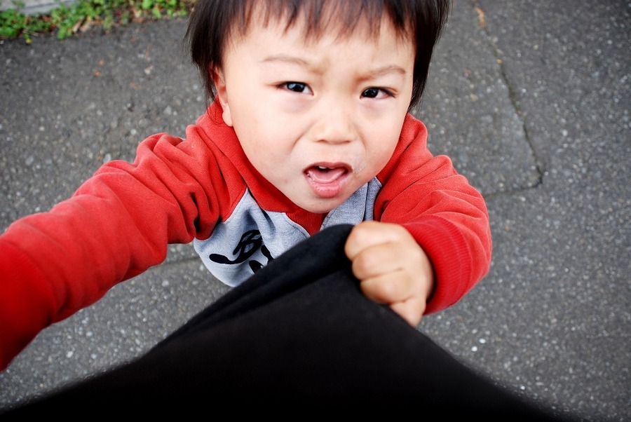 子供の金銭教育　子供のタイプ別しつけのすすめ
