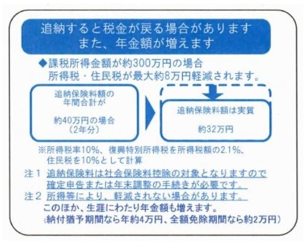 追納すると税金が戻る場合がある