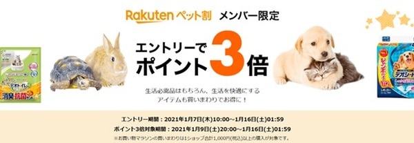 お買い物マラソン時のポイントが3倍