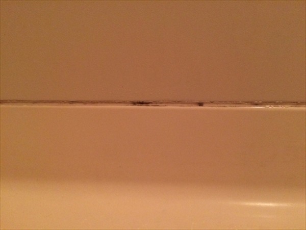 大掃除を徹底攻略　何も買い足さずに家にあるものでお風呂掃除をしてみよう