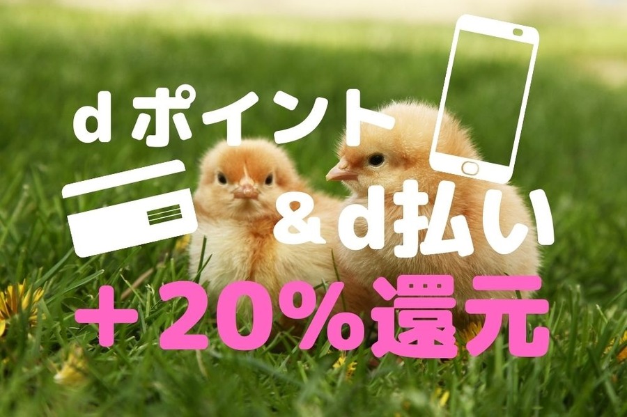 dポイント提示＆d払いで+20％還元