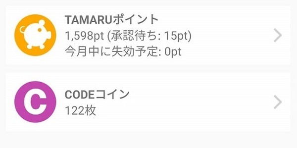 ポイント獲得実績