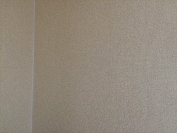 新たに掃除用具を買い足さずに家にあるもので家じゅう大掃除