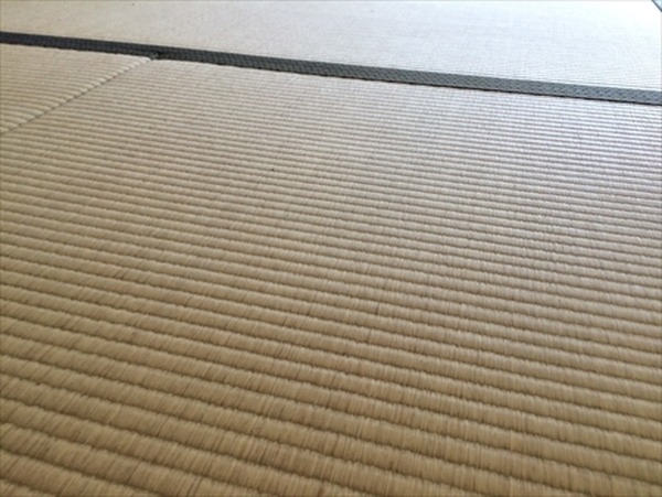 新たに掃除用具を買い足さずに家にあるもので家じゅう大掃除