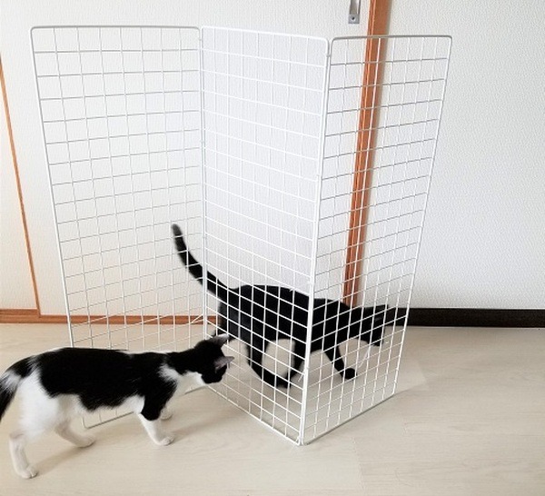 折り畳めるようにもしたい