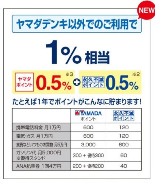 ヤマダ電機以外の利用