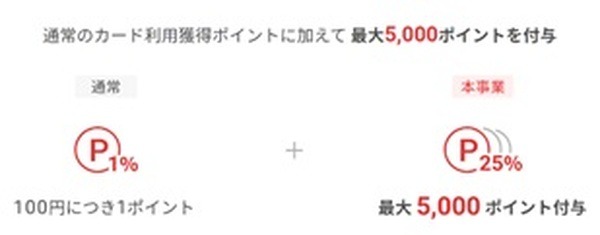 通常利用のポイントに加えて5,000P付与