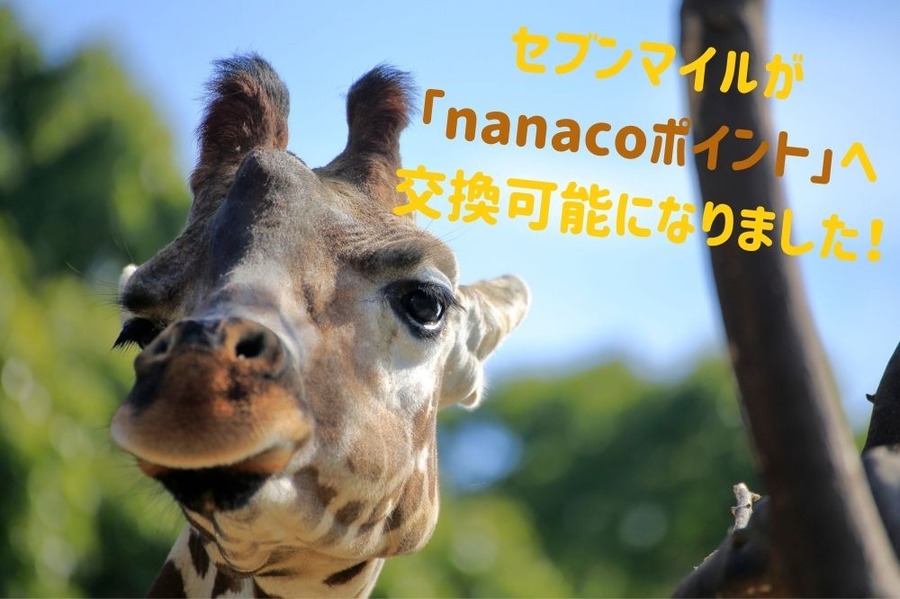 セブンマイルが 「nanacoポイント」へ 交換可能になりました