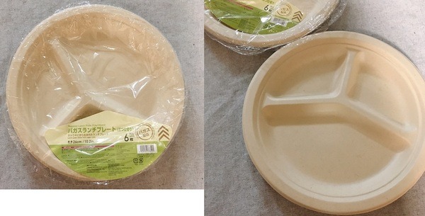 バガスランチプレート