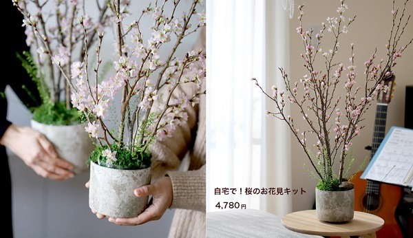 お花見キットが届きます