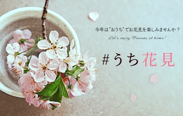 うち花見をたのしみましょう