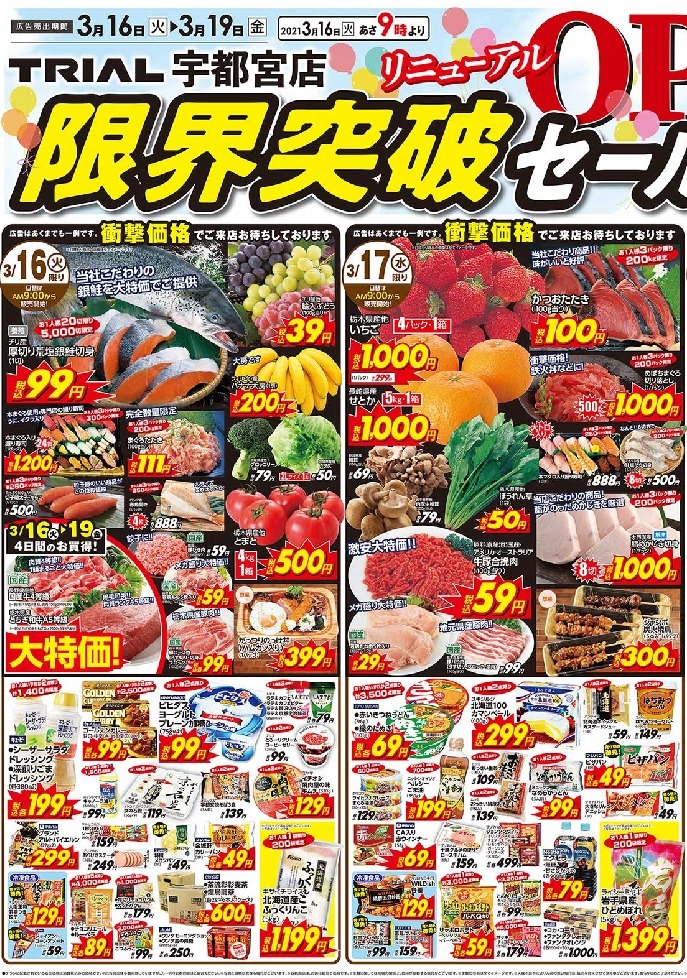 トライアルチラシ