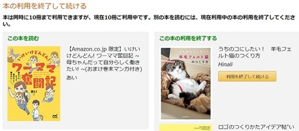 11冊目以降を利用する場合には1冊返却