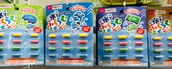 水でふくらむスポンジ