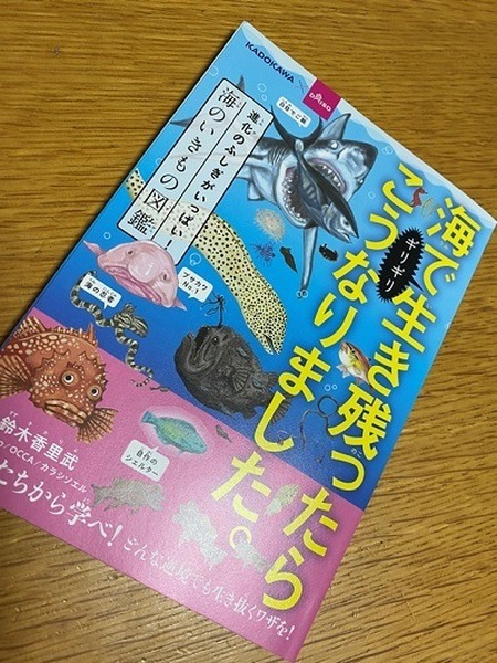 「海で生き残ったらギリギリこうなりました」