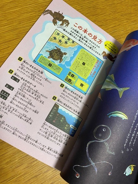 これ1冊でかなり充実