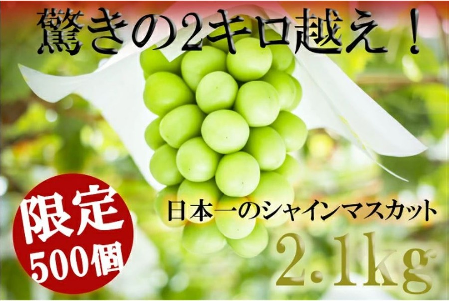 シャインマスカット