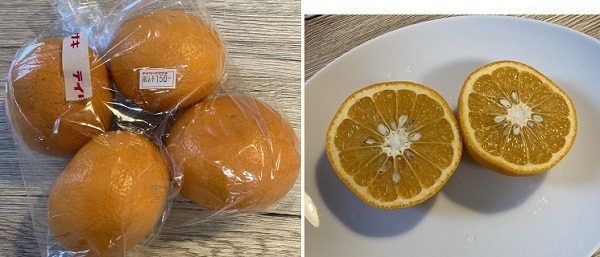 熊本県産の紅甘夏は1袋4つ入りで150円