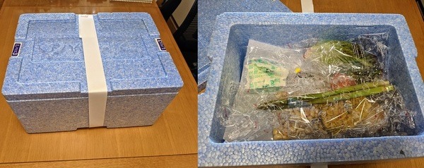 1日目の食材