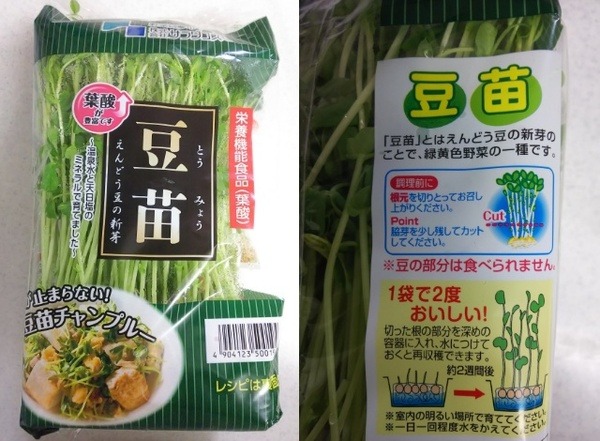 豆苗の栄養素と栽培方法も