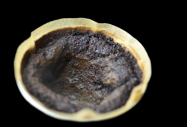 コーヒーの出がらし