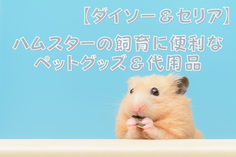 【ダイソー＆セリア】 ハムスターの飼育に便利な ペットグッズ＆代用品