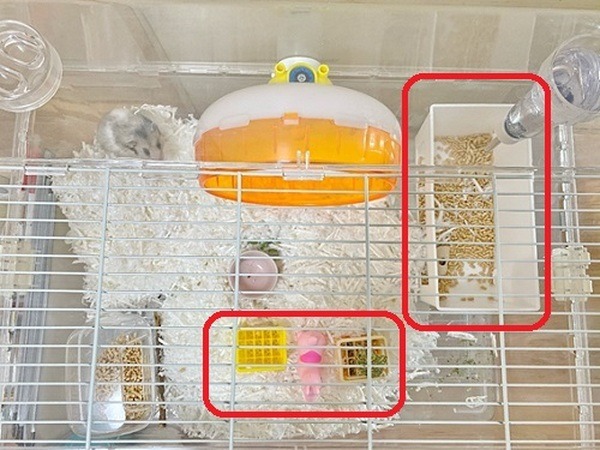 セリアで見つけたハムスター飼育グッズ代用品
