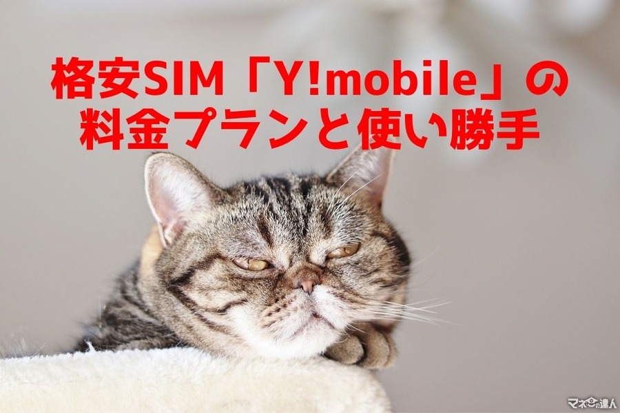 【通信費7.2万円/年を削減】格安SIM「Y!mobile」の料金プランと使い勝手