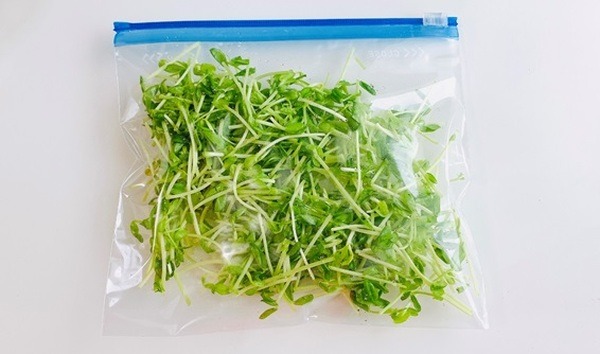 再収穫可能で栄養満点な「豆苗」　節約＆簡単レシピ3つ