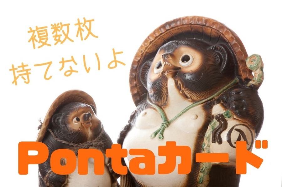 カードは複数枚持てない