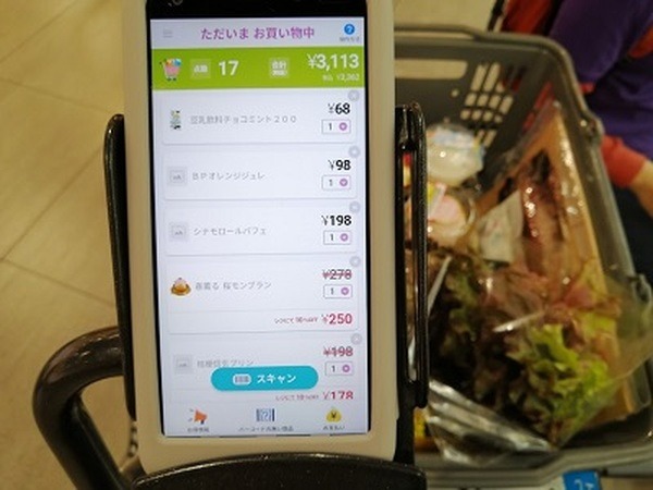 「予算制」の節約術を実現できる