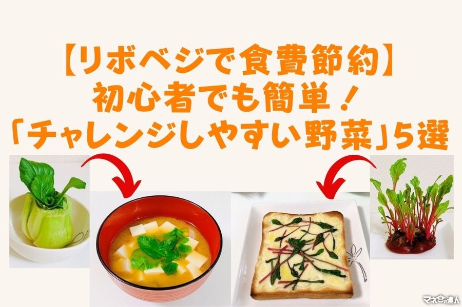 【リボベジで食費節約】初心者でも簡単！　「チャレンジしやすい野菜」5選