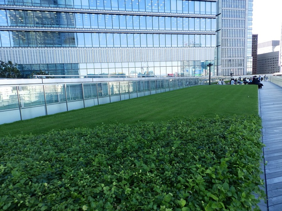 「郵政3社株」って本当に魅力的か？　中長期の投資対象として検証してみた