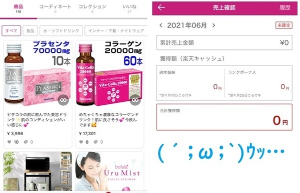売上獲得実績