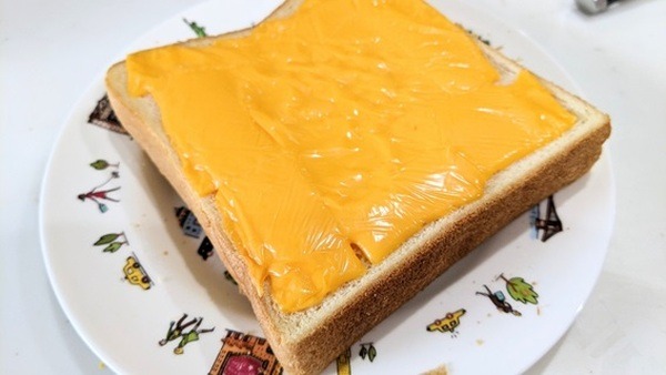 いろいろと使い道があっていいのです