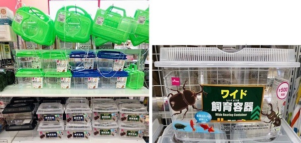 飼育ケース（虫とりカゴ）