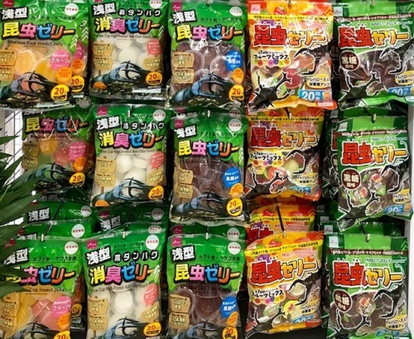 昆虫ゼリー