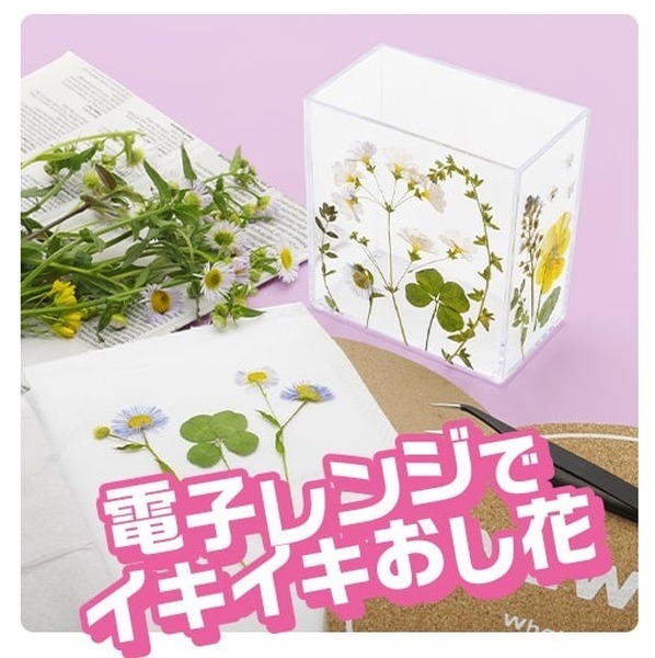 イキイキおし花