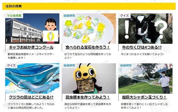 マフ塾の注目の授業