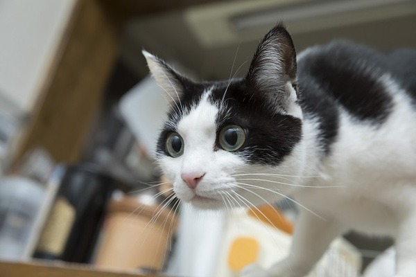 狙われています