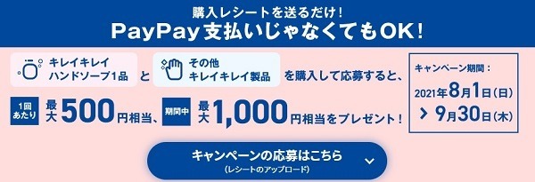 キャンペーン概要