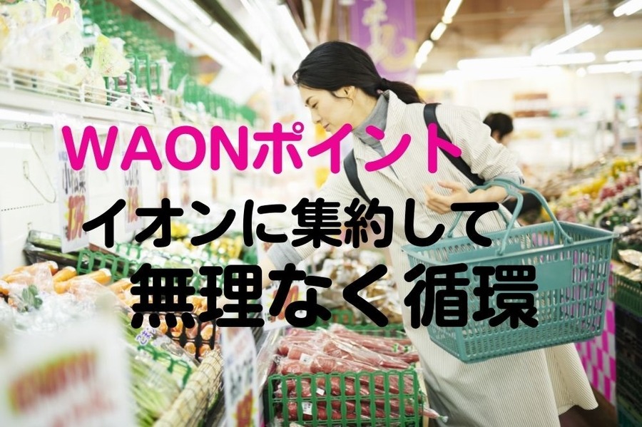 WAONポイントはイオンに集約して循環させる