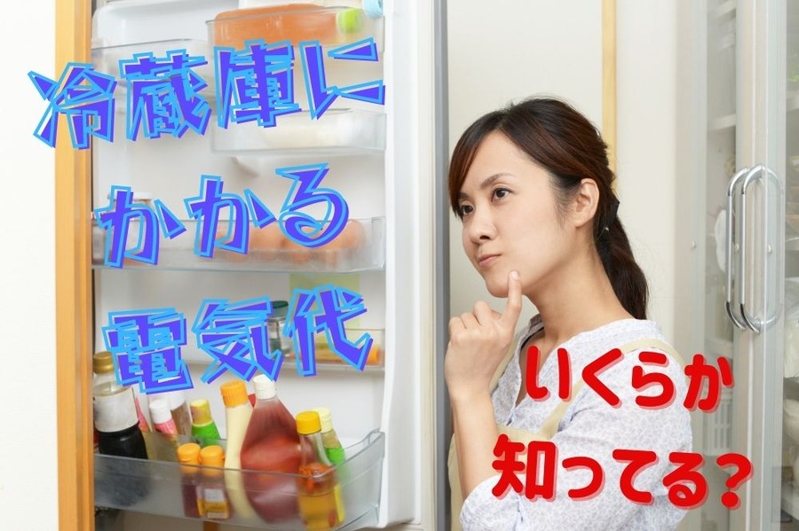 冷蔵庫にかかる電気代はいくらだろう